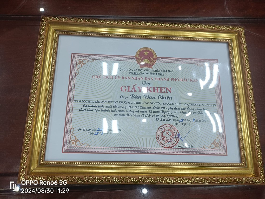 Giấy khen Mạnh Minh
