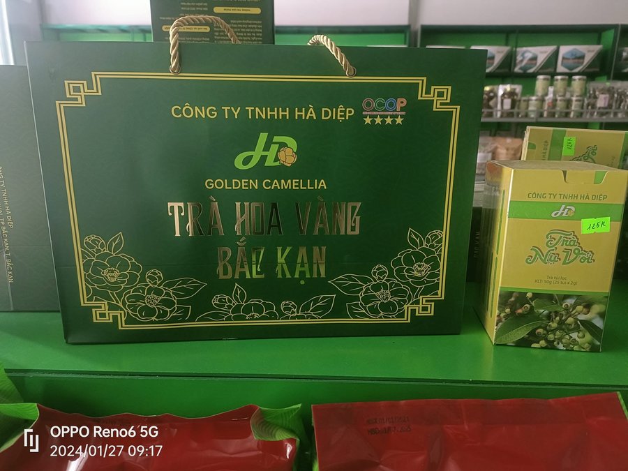 Trà hoa vàng Bắc Kạn